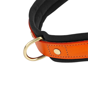 Pettorina per Cani Imbottita, senza Trazione Zoom su sezione pettorina nera imbottita con bordo cucito e anello dorato per aggancio del guinzaglio.