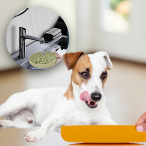 Cane che lecca ciotola antiringhio gialla in silicone, primo piano del risciacquo facile sotto l’acqua.