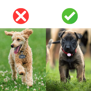 Porta Airtag per Cani – Custodia in Silicone Morbido per Apple Airtag, Compatibile con Collare per Cani e Gatti Porta Airtag per Cani – Custodia in Silicone Morbido per Apple Airtag, Compatibile con Collare per Cani e Gatti